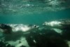 Footage of the Great Australian Bight obtained by Sea Shepherd's The Steve Irwin.