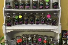FILE – In this Sept. 27, 2016, file photo, different strains of marijuana are displayed in West Salem Cannabis, a marijuana shop in Salem, Ore. Cleveland.com reports Ohio's proposed restrictions on medical marijuana purchases would be among the nation's strictest, based on draft rules released Thursday, Feb. 23, 2017, by the State of Ohio Board of Pharmacy and open to public comment through March 10, 2017. Patients could buy and possess up to six ounces of plant material, or marijuana products containing an equivalent amount of the psychoactive ingredient THC, in a 90-day period.