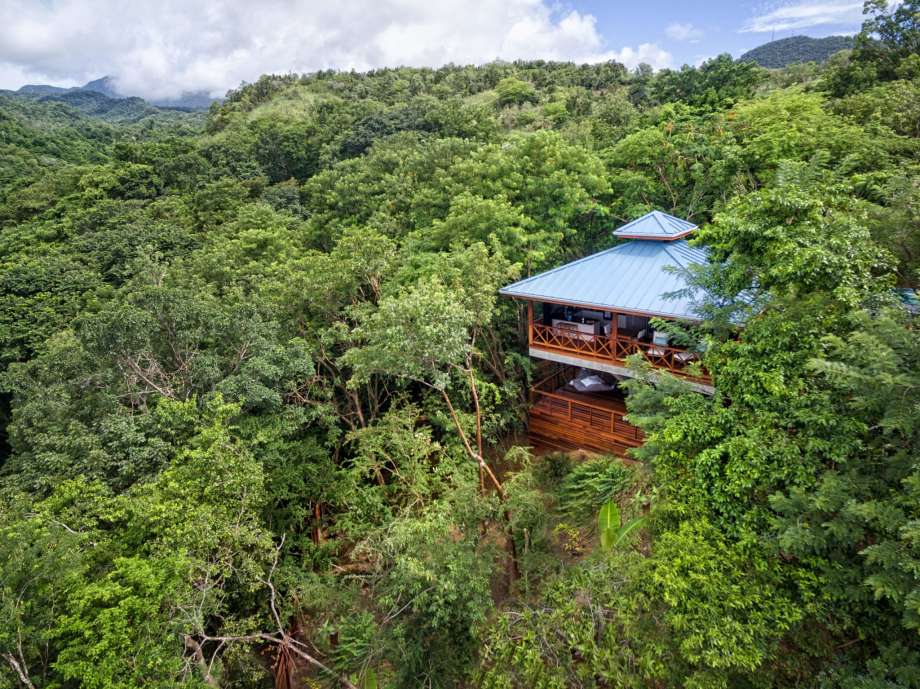 An aerial view of treehouse lodging at Secret Bay Resort in Dominica.  Photo: Secret Bay/Bloomberg