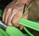 NBN will connect about 700,000 households using fibre-to-the-curb technology.