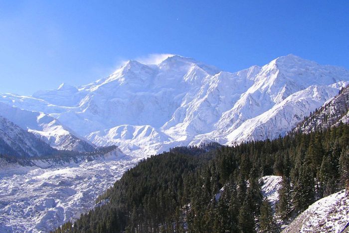 Snow covered, epic mountain range with pine trees over the base and a glacier across the valley. 