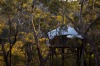 Secret Treehouse in the Wollemi Wilderness area of Bilpin, NSW. Nowhere else will you feel as immersed in nature.