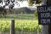 New wine research suggests cellar door sales are making up to a third of small wine maker's incomes