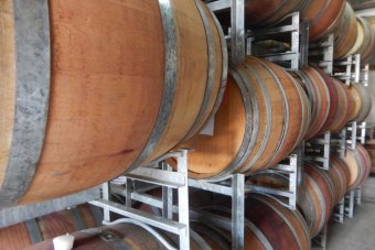 Wine barrels at a Riverland winery.