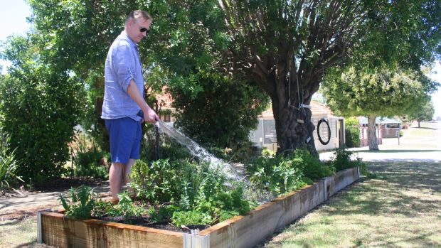 Cr Cornish with his verge garden.