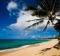 Oahu's north shore is home to the world's most famous surf beaches.