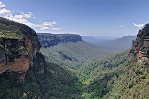 Blue Mountains landscape (ABC News)