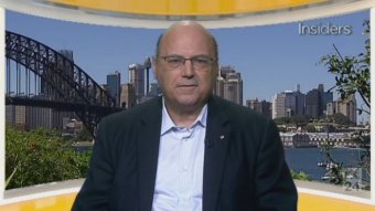 Arthur Sinodinos says Pauline Hanson's party is a "different beast" to 20 years ago.