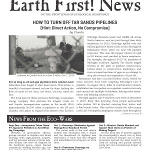 EF!N Brigid 2016 front_Page_01