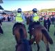 The Australian Turf Club at Randwick has introduced an equine mounted division of former racehorses.