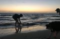 A stunned Sophie Hunt tries to pull a shark into deeper waters at St Kilda beach in January.