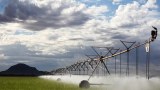 An irrigation pivot at the Hamersley Agricultural Project 