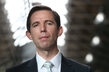 Education Minister Simon Birmingham has again blamed Labor for the VET FEE-HELP fiasco, even though the Coalition was ...