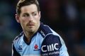 Concussion worries: Bernard Foley has been ruled out of the Waratahs' opening game against the Force on Saturday. 