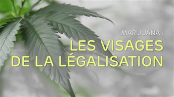 Marijuana : Les visages de la légalisation