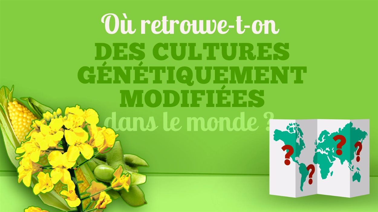 LA SEMAINE VERTE - Les pays producteurs d'OGM