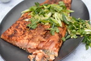 Sticky Salmon Plank