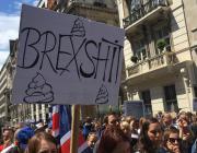 Anti-Brexit protest march in London following the EU referendum