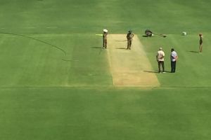 The pitch in Bangalore.