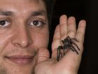 What it's like to be bitten by a tarantula