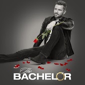 The Bachelor