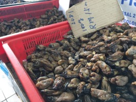 Dried seafood at streetside stalls. These are dried oysters - we couldn't bring ourselves to try one!
