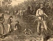 Plantation slavery