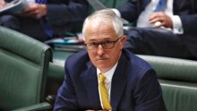 Cassidy: Turnbull Government struck dumb by politics