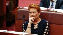 Pauline Hanson has capitalised in the Australian political scene in a similar fashion to Donald Trump in the US.