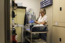 Janie Mason in storage room (ABC Radio Darwin: Emilia Terzon)