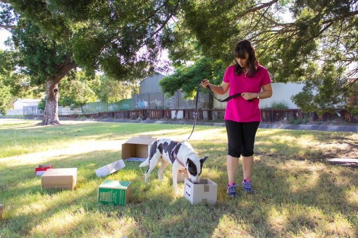 Eve McKenzie walks with a dog.