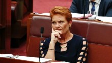 Pauline Hanson in the Upper House.