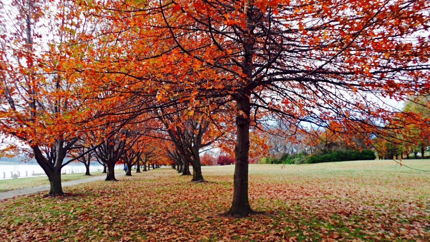 Autumn is popular time to sell in Canberra.