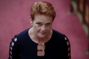 Senator Pauline Hanson's One Nation has voted with the government on 85 per cent of Senate votes.