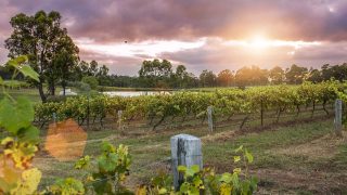 Tee off in the Hunter Valley