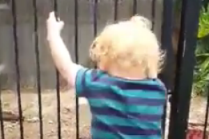 Brodie Atkinson climbs the fence.