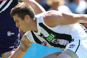 Mason Cox has had a strong pre-season, according to Nathan Buckley.