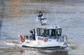 A mass search of the Murray is being conducted on Friday morning.
