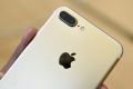 At least eight south-east Queensland residents have fallen victim to fake online iPhone 7 Plus adverts, with the phones ...