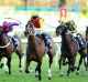 Potential: Brenton Avdulla looks to the stands as Omei Sword wins last year's Furious Stakes. 