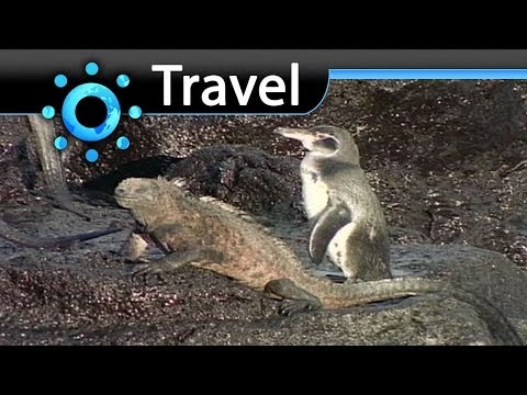 Galapagos Vacation Travel Video Guide