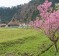 Rural landscape of Historical village Miyama in Kyoto, Japan.