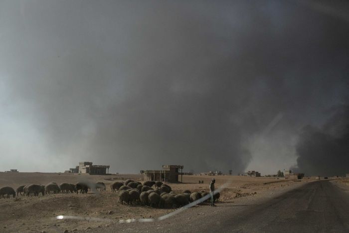 Smoke from burning oil fields in Al Qarrayah fills the sky near the village of Imam Gharbi near Mosul