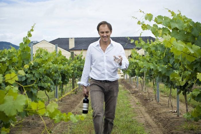 Winemaker Andrew Margan walks along rows of grape vines