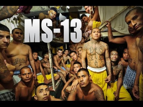 MS-13 Gang documentary / America's Deadliest Gangs