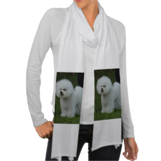 Bichon Frise Scarf Wraps