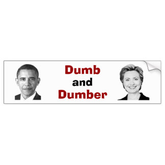 Dumb And Dumber Bumper Sticker