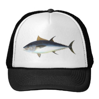 Ejemplo del atún de Bluefin Gorras