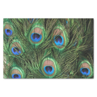 Peacock Feather Tissue Paper