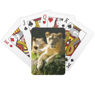 Lions Poker Deck